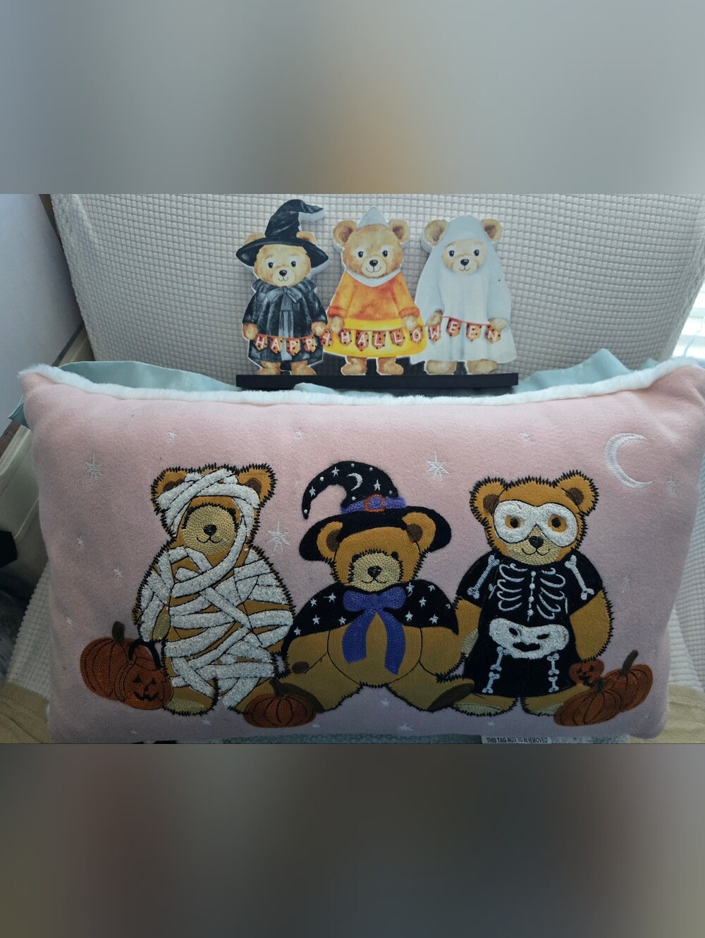 Envogue Halloween Embroidery Pillow Teddy Bear Kids Costume & Wooden Sign